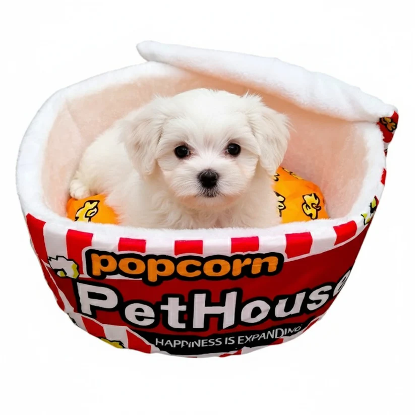 Cama para Gato Popcorn - Image 7